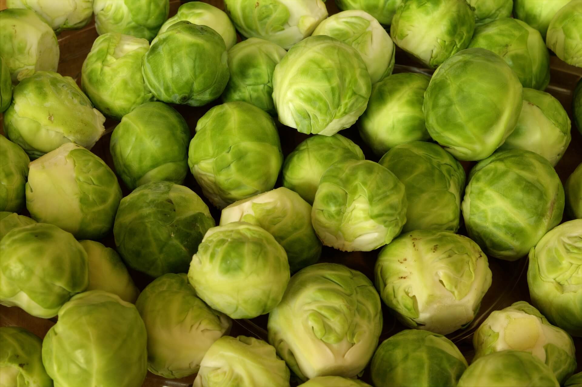 day-23-why-do-brussels-sprouts-make-us-fart-fight-the-fads